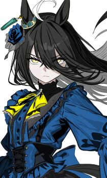 1girl ahoge animal_ears artist_request black_hair blue_dress blue_flower commentary_request corset dress ear_flower ear_ornament ear_tag earrings flower hair_between_eyes highres horse_ears horse_girl horse_tail jewelry long_bangs long_hair long_hair_between_eyes long_sleeves looking_at_viewer manhattan_cafe_(umamusume) multicolored_hair necktie single_earring solo tail umamusume white_hair yellow_eyes yellow_necktie