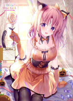 Rule 34 | 1girl, :3, absurdres, animal ears, arm support, black corset, black panties, black ribbon, black thighhighs, bow, bowtie, breasts, candy, cat ears, cat girl, cat tail, circle name, cleavage, cleavage cutout, clothing cutout, collarbone, corset, curtains, dengeki moeoh, detached collar, dress, elbow gloves, fake animal ears, fake tail, food, frilled dress, frilled gloves, frills, garter belt, gloves, hair between eyes, halloween, halloween costume, hanahanamaki, highres, holding, holding candy, holding food, holding lollipop, indoors, izumi kaori (twinbox), jack-o'-lantern, knees out of frame, large breasts, lens flare, light blush, lollipop, long hair, looking at viewer, magazine scan, on bed, one side up, open mouth, orange bow, orange bowtie, orange dress, orange gloves, panties, panties visible through clothes, pink hair, purple eyes, ribbon, scan, see-through clothes, see-through dress, sidelocks, sleeveless, sleeveless dress, smile, solo, sousouman, sunlight, swirl lollipop, tail, thighhighs, third-party source, translation request, twinbox school, underwear, wavy hair, window, wispy bangs
