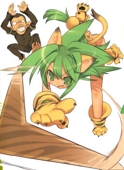 1girl absurdres animal_ears animal_hands animal_print blade_(galaxist) boomerang cat_ears cat_tail cham_cham chimpanzee gloves green_eyes green_hair highres long_hair maya_(culture) mexico monkey no_panties paku_paku paw_gloves paw_shoes queen's_blade queen's_gate samurai_spirits shoes snk tail tiger_print weapon