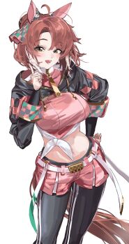 1girl :d absurdres animal_ears belt black_jacket black_leggings bow breasts brown_hair checkered_ribbon colored_tips commentary cowboy_shot cropped_jacket cropped_shirt dantsu_flame_(center_spotlight)_(umamusume) dantsu_flame_(umamusume) ear_covers ear_ribbon green_ribbon highres horse_ears horse_girl index_finger_raised jacket kazukingu large_breasts leggings long_sleeves medium_hair midriff multicolored_hair open_mouth parted_bangs pink_ribbon pink_shirt pink_shorts ribbon shirt shorts simple_background smile solo tied_shirt umamusume white_background white_belt white_hair yellow_eyes