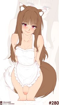 Rule 34 | 1girl, absurdres, animal ear fluff, animal ears, apron, blunt bangs, blush, breasts, brown hair, closed mouth, collarbone, commentary, english commentary, fang, fang out, futanari, highres, holo, likunea, long hair, looking at viewer, maid, maid apron, naked apron, nude, patreon logo, patreon username, penis, red eyes, sidelocks, simple background, small breasts, smile, spice and wolf, tail, twitter username, twitter x logo, uncensored, wolf ears, wolf girl, wolf tail, zoom layer
