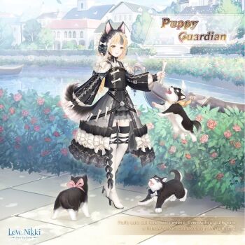 1girl animal_ear_headwear animal_ears artist_request baby_animal belt black_belt black_bow black_bowtie black_dress black_hat black_thighhighs blonde_hair blunt_bangs boat bone boots border bow bowtie bush character_name copyright_logo crossed_belts day dog dog_ears dog_girl dog_tail dot_nose dress dress_bow ears_through_headwear english_text eyelashes fake_animal_ears flower footwear_bow frilled_dress frilled_headwear frilled_sleeves frills full_body giving happy hat hat_bow high_heel_boots high_heels holding holding_bone house jumping layered_dress lens_flare light_blush light_rays logo lolita_fashion long_dress long_hair long_sleeves looking_at_animal miracle_nikki multicolored_hair multiple_belts nikki_(series) official_art open_mouth outdoors path pink_bow puppy puppy_guardian_(miracle_nikki) red_flower red_rose river road rose shadow shoulder_bow simple_bird smile solo standing streaked_hair striped_bow studded_belt tail thigh_boots thighhighs third-party_source very_long_hair watercraft white_boots white_border yellow_bow yellow_eyes zettai_ryouiki