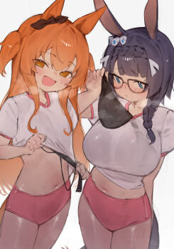 2girls animal_ears black-framed_eyewear black_bow black_bra black_hair black_tail blue_eyes blush bow bra braid braided_bangs breasts buruma closed_mouth commentary ear_bow english_commentary glasses hair_between_eyes highres holding holding_bra holding_underwear holding_unworn_clothes horse_ears horse_girl horse_tail large_breasts looking_at_viewer mayano_top_gun_(umamusume) midriff multiple_girls navel open_mouth orange_eyes orange_hair orange_tail pink_buruma removing_bra_under_shirt shirt short_sleeves simple_background small_breasts smile steaming_body sweat tail theflatfacadeds two_side_up umamusume underwear white_background white_shirt zenno_rob_roy_(umamusume)