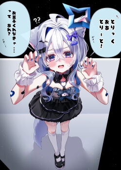 1girl alternate_costume amane_kanata animal_ears bat_hair_ornament black_dress black_shoes blue_hair blue_nails blush cat_ears cat_girl cat_tail claw_pose commentary_request dress frilled_dress frills grey_hair hair_intakes hair_ornament highres hololive hosimiya_yume mary_janes nail_polish purple_eyes shoes solo tail thighhighs virtual_youtuber white_thighhighs white_wrist_cuffs wrist_cuffs
