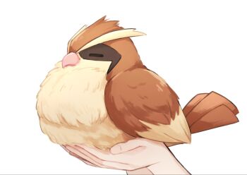 1other beak bird closed_eyes commentary_request from_side gen_1_pokemon highres holding mukomaru nintendo out_of_frame pidgey pokemon pokemon_(creature) pokemon_focus simple_background white_background