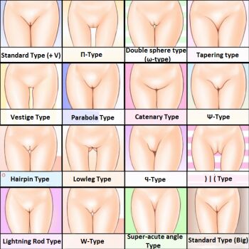 6+girls artist_request chart cleft_of_venus crotch groin hard-translated hip_focus how_to multiple_girls original pussy pussy_chart text_focus thigh_gap thighs third-party_edit translated uncensored
