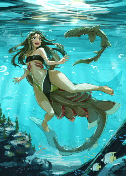 159cm 1girl air_bubble antenna_hair bandeau bare_shoulders barefoot black_bandeau blue_eyes body_fins breasts brown_hair bubble commentary_request coral creature_and_personification fins fish fish_tail frilled_shark gills long_tail medium_breasts mermaid monster_girl navel open_mouth original personification seafloor seaweed shark_girl shark_tail sharp_teeth solo swimming swimsuit tail teeth thick_thighs thighs tropical_fish underboob underwater