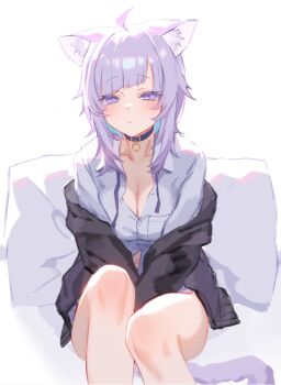 1girl ahoge animal_collar animal_ear_fluff animal_ears arms_between_legs black_collar black_jacket blue_hair blunt_bangs blush breasts button_gap cat_ears cat_tail closed_mouth collar collared_shirt colored_inner_hair commentary_request cowboy_shot diagonal_bangs dress_shirt hololive izumi_sai jacket knee_up large_breasts light_frown medium_hair messy_hair multicolored_hair neck_ribbon nekomata_okayu nekomata_okayu_(oversized_shirt) no_pants off_shoulder official_alternate_costume official_alternate_hairstyle on_pillow open_clothes open_jacket partially_unbuttoned purple_eyes purple_hair purple_ribbon ribbon shirt sidelocks simple_background sitting solo tail virtual_youtuber white_background