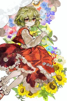 Rule 34 | 1girl, ascot, closed mouth, expressionless, floating, floral background, flower, frilled socks, frills, green hair, hair between eyes, highres, holding, holding umbrella, kazami yuuka, long sleeves, medium hair, plaid clothes, plaid skirt, plaid vest, red eyes, red shoes, red skirt, red vest, sayoko404, shirt, shoes, skirt, socks, solo, sunflower, touhou, umbrella, vest, white shirt, white socks, yellow ascot