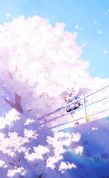 Rule 34 | 1girl, angel, angel wings, animal, aoi thomas, bird, blue hair, blue sky, breasts, camera, cat, cherry blossoms, closed eyes, closed mouth, collared shirt, commentary request, day, feathered wings, flower, halo, highres, holding, holding camera, jacket, long hair, medium breasts, multicolored hair, off shoulder, open clothes, open jacket, original, outdoors, railing, red footwear, shirt, shoes, skirt, sky, solo, standing, tree, two-tone hair, very long hair, white jacket, white shirt, white skirt, white wings, wide shot, wings, yellow flower