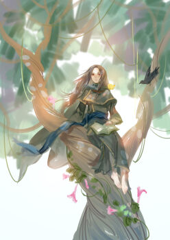 1boy animal animal_on_shoulder barefoot bird bird_on_shoulder bishounen book closed_mouth commentary fire_emblem fire_emblem:_path_of_radiance highres long_hair male_focus nintendo novice_(o_novice) on_tree open_book red_eyes sitting solo soren_(fire_emblem) tree