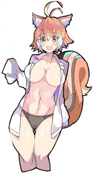 1girl animal_ears blazblue blush breasts brown_eyes brown_hair coat enpe large_breasts long_sleeves makoto_nanaya multicolored_hair open_clothes open_coat panties short_hair squirrel_ears squirrel_girl squirrel_tail tail teeth two-tone_hair underwear upper_teeth_only white_background white_hair