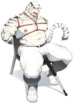 1boy alternate_costume animal_ears arknights bara baseball_bat baseball_cap baseball_uniform bdsm bondage bound chair full_body furry furry_male hat highres large_pectorals male_focus mountain_(arknights) muscular muscular_legs muscular_male on_chair pants pectoral_bondage pectorals red_rope rope scar scar_across_eye scar_on_face shibari short_hair sitting solo sportswear strongman_waist thick_eyebrows thighs tiger_boy tiger_ears tongue tongue_out weisun_(leoooliooon) white_hair