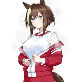 1girl animal_ears blue_eyes blush breasts brown_hair brown_tail cheval_grand_(umamusume) closed_mouth commentary_request gym_shirt hair_intakes horse_ears horse_girl horse_tail jacket large_breasts long_sleeves multicolored_hair nanasedayoxd off_shoulder pants red_jacket red_pants shirt short_hair short_hair_with_long_locks sidelocks simple_background solo steaming_body streaked_hair tail tracen_training_uniform track_jacket umamusume unzipping white_background white_shirt white_streaks