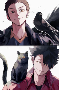 2boys absurdres animal artist_name baksa_030 bird black_hair black_jacket brown_eyes brown_hair cat closed_mouth crow haikyuu!! highres jacket kuroo_tetsurou light_particles light_smile looking_at_viewer male_focus multiple_boys open_clothes open_jacket orange_eyes red_jacket sawamura_daichi shirt short_hair split_screen twitter_username white_background
