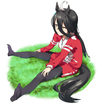 1girl absurdres ahoge animal_ears averting_eyes black_hair black_pantyhose blush breasts ear_ornament ear_tag earrings embarrassed fuse_gomame hair_between_eyes highres horse_ears horse_girl horse_tail jacket jewelry long_hair long_hair_between_eyes long_sleeves manhattan_cafe_(umamusume) multicolored_hair multicolored_jacket no_shoes on_grass on_ground pantyhose pantyhose_under_shorts red_jacket red_shorts shorts single_earring sitting small_breasts solo sweatdrop tail track_jacket two-tone_jacket umamusume white_hair white_jacket