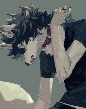 1boy black_hair black_shirt body_fur claws collar commentary_request ear_piercing fuji_166 furry furry_male green_eyes grey_background grey_fur jewelry male_focus medium_hair midriff_peek multiple_rings original piercing ring shirt simple_background solo tail upper_body wolf_boy