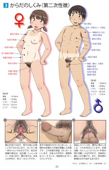 1boy 1girl anal_hair anus armpit_hair barefoot breasts censored chart erection excessive_pubic_hair feet flaccid full_body fundarikettari highres looking_at_viewer male_pubic_hair mosaic_censoring nipples nude one-piece_tan open_mouth original partially_translated penis pubic_hair pussy sex_ed shadow short_hair short_twintails small_penis smile spread_pussy standing tan tanline testicles text_focus translation_request twintails white_background