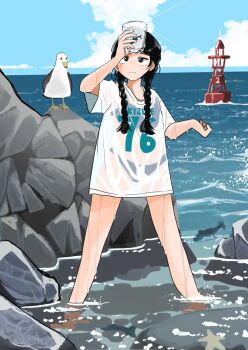 Rule 34 | 1girl, arm up, bikini, bikini under clothes, bird, black bikini, black hair, braid, brown eyes, buoy, cloud, cloudy sky, commentary, cup, day, fish, highres, holding, holding cup, itochin d, long hair, no nose, ocean, original, outdoors, print shirt, rock, seagull, see-through clothes, see-through shirt, shirt, sky, spread legs, standing, swimsuit, twin braids, wading, wet, wet clothes, wet shirt, white shirt