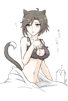 1girl animal_ears bed breasts cat_ears cat_lingerie cleavage grey_eyes highres ruby_rose rwby tail