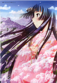 1girl absurdres black_hair cloud female_focus floating_hair hand_on_own_chest highres hill hime_cut japanese_clothes kawata_hisashi kimono leaf_(studio) long_sleeves nature non-web_source official_art painting_(medium) petals profile routes sakuya_(routes) scan scan_artifacts sleeves_past_wrists solo traditional_media watercolor_(medium)