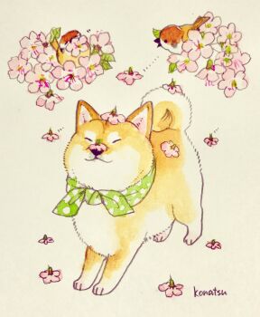 :3 animal animal_focus bird cherry_blossoms closed_eyes commentary_request curled_tail dog finch flower flower_on_head green_neckerchief highres konatsu_tunacan neckerchief no_humans original painting_(medium) polka_dot_neckerchief shiba_inu simple_background solo_focus traditional_media watercolor_(medium)
