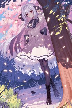 1girl absurdres black_footwear black_pantyhose black_ribbon bow collared_shirt dress grass grey_hair hair_between_eyes hair_bow hair_ribbon highres lc_angel long_hair long_sleeves looking_at_viewer neck_ribbon outdoors pantyhose red_eyes ribbon sakurakouji_luna shirt solo standing tree tsuki_ni_yorisou_otome_no_sahou very_long_hair white_dress white_shirt
