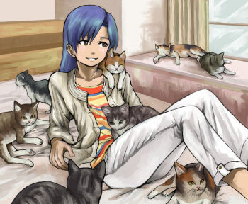 Rule 34 | 1girl, animal, animal on lap, animal on shoulder, bed, bedroom, blue hair, brown eyes, cat, cat day, cat on lap, cat on shoulder, collarbone, commentary request, feet out of frame, grin, idolmaster, idolmaster (classic), indoors, jacket, kisaragi chihaya, light blush, long hair, long sleeves, mimiyama kiichi, on bed, on lap, open clothes, open jacket, pants, shirt, sideways glance, sitting, smile, solo, striped clothes, striped shirt, too many, too many cats, window
