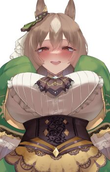 1girl absurdres animal_ears ascot blue_gem blunt_ends blush breasts brown_ascot brown_corset brown_eyes brown_hair chest_jewel commentary corset diamond_(shape) dress ear_ornament english_commentary frilled_shirt frilled_sleeves frills from_below gem green_dress hair_in_own_mouth highres horse_ears horse_girl large_breasts long_hair long_sleeves looking_at_viewer multicolored_hair open_mouth satono_diamond_(natural_brilliance)_(umamusume) satono_diamond_(umamusume) shirt simple_background sleeves_past_fingers sleeves_past_wrists smile solo streaked_hair two-tone_hair umamusume upper_body very_long_hair white_background white_shirt xkittyzx