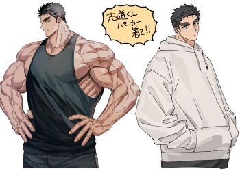 Rule 34 | 1boy, bara, black hair, black pants, black tank top, blue eyes, bodybuilder, domo (domo kizusuki), drawstring, hands in pockets, hands on own hips, hood, hood down, hoodie, jewelry, kokado shido (domo), large pectorals, male focus, manly, multiple views, muscular, muscular arms, muscular male, necklace, original, pants, pectorals, scar, scar on arm, short hair, shredded muscles, sideburns, simple background, sleeveless, tank top, tareme, thick eyebrows, upper body, v-taper, veins, veiny arms, white background, white hoodie
