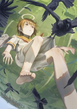Rule 34 | 1girl, angel wings, barefoot, bird, brown eyes, brown hair, commentary request, crow, dress, falling, falling feathers, feathered wings, feathers, foot out of frame, grey wings, haibane renmei, halo, highres, kuthi0510, messy hair, neckerchief, orange sailor collar, parted lips, rakka (haibane renmei), red neckerchief, sailor collar, short hair, short sleeves, solo, traditional halo, white dress, wings