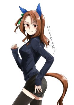 1girl absurdres animal_ears black_sweater black_thighhighs breasts brown_hair ear_covers highres horse_ears horse_girl horse_tail kakuteru_sudachi king_halo_(umamusume) looking_at_viewer medium_hair red_eyes solo sweater tail thighhighs umamusume white_background zettai_ryouiki