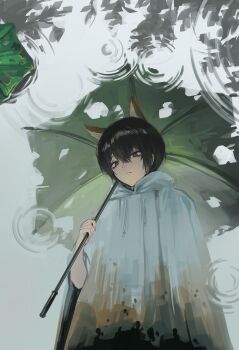 1boy absurdres animal_ears e.g.o_(project_moon) fox_ears from_above head_tilt highres holding holding_umbrella hood hood_down hoodie iur5021 limbus_company male_focus official_alternate_costume pov project_moon reflection reflection_focus ripples solo stain sunshower_(e.g.o) torn_umbrella umbrella white_hoodie yi_sang_(project_moon)