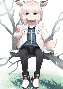 1girl ahoge animal_ears aqua_eyes arknights black_choker black_pantyhose blush choker collarbone corrupted_twitter_file cross full_body gloves greek_cross grey_hair hashtag-only_commentary highres hoshikawayoyami jacket open_clothes open_jacket panties pantyhose parted_lips red_cross short_hair sitting sitting_on_branch solo sussurro_(arknights) tail underwear white_gloves white_jacket white_panties