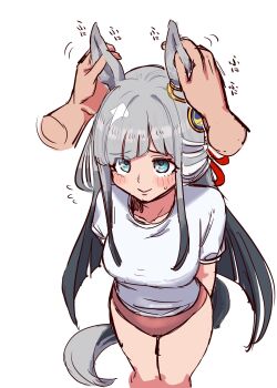 alternate_costume animal_ears blue_eyes blush breasts buruma chrono_genesis_(umamusume) closed_mouth collarbone grey_hair hair_between_eyes hand_on_another&#039;s_ear highres horse_ears horse_girl horse_tail long_hair looking_at_viewer pov pov_hands scottleworfli simple_background small_breasts sweat tail umamusume white_background