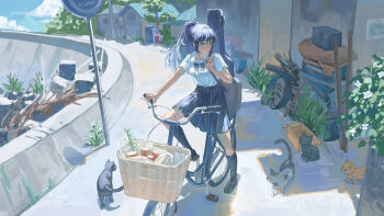 Rule 34 | 1girl, absurdres, bag, basket, bicycle, bicycle basket, black bow, black cat, black hair, black skirt, black socks, blue eyes, blue sky, bow, box, brown shoes, brush stroke, building, bush, cat, cloud, collarbone, collared shirt, day, from above, full body, gejiandenghuo, grass, highres, house, instrument case, junk, kneehighs, multicolored cat, original, outdoors, perspective, pleated skirt, riding, riding bicycle, road, road sign, scenery, school uniform, shade, shadow, shirt, shoes, sign, skirt, sky, socks, street, summer, thighs, white shirt