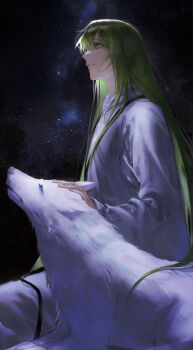 1other absurdres androgynous animal blue_eyes enkidu_(fate) fate/grand_order fate/strange_fake fate_(series) from_side green_eyes green_hair hair_between_eyes hand_on_another's_head headpat highres long_hair long_sleeves looking_up night open_mouth other_focus outdoors petting profile robe sitting sky smile star_(sky) tenderina_123 very_long_hair white_fur white_robe wolf wolf_(fate)