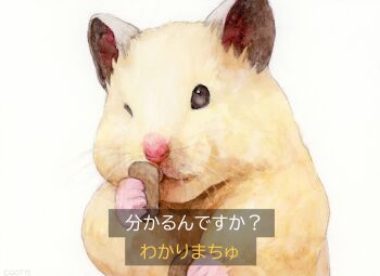 animal animal_focus artist_name commentary_request food gotte hamster highres holding holding_food no_humans one_eye_closed original painting_(medium) pet_food simple_background smelling subtitled traditional_media translation_request watercolor_(medium) white_background