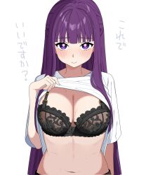 Rule 34 | 1girl, black bra, blunt bangs, blush, bra, breasts, cleavage, closed mouth, clothes lift, fern (sousou no frieren), highres, hikentai0112, large breasts, long hair, looking at viewer, navel, purple eyes, purple hair, shirt, shirt lift, short sleeves, sousou no frieren, translation request, underwear, upper body, white shirt