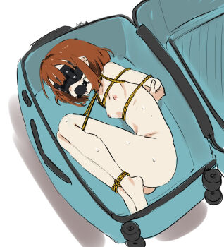 1girl arms_behind_back ball_gag bdsm blindfold bondage bound breasts briefcase brown_hair eudetenis futaba_(pretzelfan) gag gagged girl_in_a_box hair_ornament hairclip highres in_container legs_tied loli nude rope second-party_source shibari short_hair sidelocks small_breasts suitcase wiffle_gag