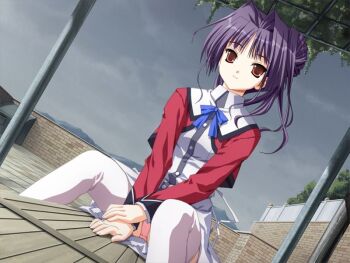 1girl cloud cloudy_sky doko_e_iku_no_ano_hi game_cg kanno_touko looking_at_viewer mogi_kazuha non-web_source panties pink_panties purple_hair red_eyes ribbon school_uniform side_ponytail sitting skirt sky thighhighs underwear