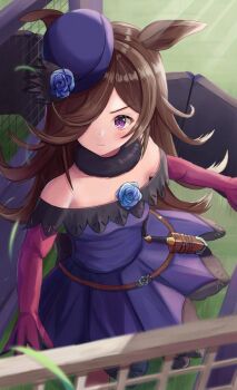 Rule 34 | 1girl, animal ears, bare shoulders, blue dress, blue flower, blue hat, blue rose, blush, breasts, brown hair, closed mouth, collarbone, commentary request, dagger, dress, flipped hair, flower, fur choker, hair over one eye, hat, hat flower, horse ears, horse girl, knife, long hair, long sleeves, looking at viewer, off-shoulder dress, off shoulder, purple eyes, rice shower (rosy dreams) (umamusume), rice shower (umamusume), rose, sheath, sheathed, small breasts, solo, starting gate, thurumu, tilted headwear, umamusume, weapon