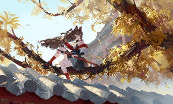 Rule 34 | 1girl, absurdres, animal ear fluff, animal ears, architecture, artist name, bare shoulders, black shoes, brown hair, building, chinese commentary, closed mouth, commentary request, copyright request, east asian architecture, floating hair, gohanduck, grey skirt, hand on own knee, highres, holding, holding sword, holding weapon, in tree, long hair, long sleeves, off shoulder, outdoors, ponytail, red socks, sash, shirt, shoes, short ponytail, signature, sitting, sitting in tree, skirt, socks, solo, sword, tail, tree, weapon, white shirt, wind, yellow eyes