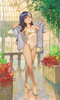 1girl absurdres bare_shoulders barefoot bikini black_hair breasts collarbone covered_erect_nipples feet gold_bikini highres ijiranaide_nagatoro-san jacket long_hair looking_at_viewer nagatoro_hayase small_breasts solo standing stomach swimsuit toes very_long_hair yellow_eyes yugen99