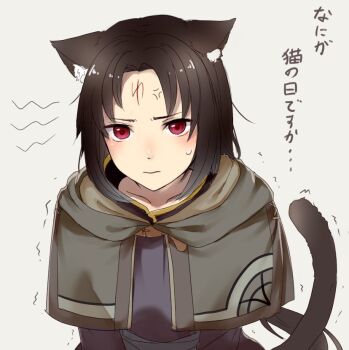 Rule 34 | 1boy, anger vein, animal ears, bishounen, black hair, capelet, cat boy, cat day, cat ears, closed mouth, commentary request, facial mark, fire emblem, fire emblem: path of radiance, forehead mark, hood, hood down, hooded capelet, kuroineko8822, looking at viewer, male focus, nintendo, red eyes, solo, soren (fire emblem), tail, translation request, variant set