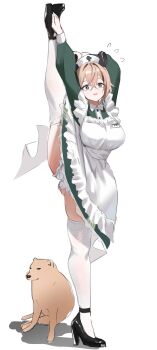 1girl animal_ears ankle-strap_heels apron black_shoes breasts brown_hair cheemsburger_(doge) dog dress flexible green_dress green_eyes hair_between_eyes hat high_heels highres holding_own_leg indie_virtual_youtuber kneepits large_breasts leg_hold leg_lift leg_up long_sleeves medium_hair meme nimi_nightmare nimi_nightmare_(1st_costume) nurse_cap real_life redi_(rasec_asdjh) shoes solo split standing standing_on_one_leg standing_split tapir_ears tapir_girl thighhighs virtual_youtuber white_apron white_thighhighs