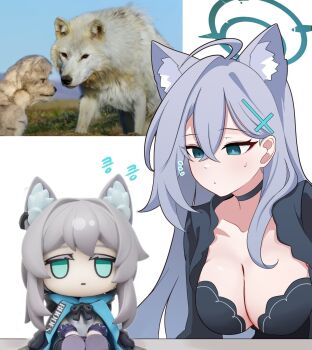 2girls :t ahoge animal_ear_fluff animal_ears aqua_eyes aqua_halo arknights black_choker black_coat black_dress blue_archive blue_coat blue_eyes breasts character_doll choker closed_mouth coat colored_eyelashes cross_hair_ornament doll dress fumo_(doll) green_eyes grey_hair hair_between_eyes hair_ornament halo hands_on_legs highres hood hood_down hooded_coat large_breasts light_frown long_hair looking_at_another looking_at_viewer medium_hair multicolored_coat multiple_girls neck_ribbon necktie notice_lines open_clothes open_coat photo_inset plaid_clothes plaid_skirt ribbon rosmontis_(arknights) shiroko_(blue_archive) shiroko_terror_(blue_archive) shirt simple_background sitting skirt skyrain315 two-tone_coat voice_actor_connection white_background wolf wolf_ears wolf_girl