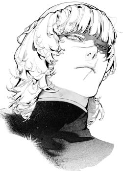 Rule 34 | 1boy, badeni, blunt bangs, chi.: chikyuu no undou ni tsuite, closed mouth, commentary request, cropped shoulders, duckchuni, greyscale, heterochromia, highres, korean commentary, male focus, medium hair, monochrome, multiple scars, portrait, scar, scar on face, scar on mouth, scar on nose, shirt, simple background, solo, white background