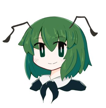 1girl antennae black_cape blush bright_pupils cape commentary cropped_torso green_eyes green_hair highres looking_at_viewer nazuka_pix short_hair simple_background smile solo touhou white_background white_pupils wriggle_nightbug