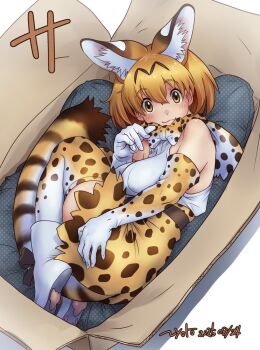 :3 animal_ears animal_print bare_shoulders blonde_hair blush boots bow bowtie box cat_ears cat_girl cat_print cat_tail curled_up elbow_gloves extra_ears frilled_skirt frills gloves hair_between_eyes high-waist_skirt in_box in_container kemono_friends looking_at_viewer nyororiso_(muyaa) paw_print_soles print_bow print_bowtie print_gloves print_skirt print_thighhighs serval_(kemono_friends) shirt short_hair sidelocks skirt sleeveless tail thighhighs white_boots white_bow white_bowtie white_gloves white_shirt white_thighhighs yellow_bow yellow_bowtie yellow_eyes yellow_gloves yellow_skirt yellow_thighhighs zettai_ryouiki